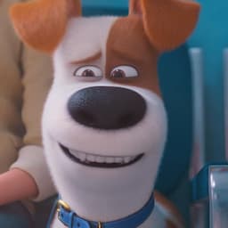 'Secret Life of Pets 2' Trailer Is Here! 