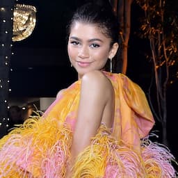 Zendaya's Voluminous Feathered Dress Is Anything But 'Cocktail Casual'