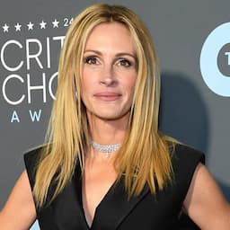 Julia Roberts Addresses Emmy Snub for 'Homecoming': 'I'm in Exceptional Company'