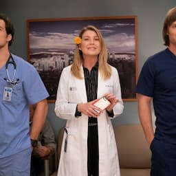 'Grey's Anatomy' Gets More Episodes for Historic Season 15