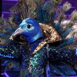 'The Masked Singer' Premiere: Who Is Really Inside Those Weird Costumes?
