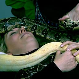 This Is What It's Like to Get the Celebrity-Approved Snake Massage (Exclusive) 