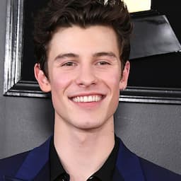 Shawn Mendes Poses in His Underwear for New Calvin Klein Modeling Campaign