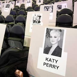 GRAMMYs 2019 Seating Chart Revealed -- Find Out Who's Sitting Next to Who!