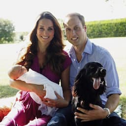 Prince William and Kate Middleton Mourn Death of Their Dog Lupo 