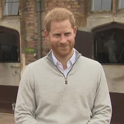 Prince Harry Still Traveling to the Netherlands This Week After Baby Sussex's Birth 