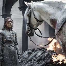'Game of Thrones' Series Finale Trailer: Dany Stands Triumphant as Arya Burns With Rage – Watch!
