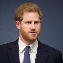Prince Harry Channels Mom Princess Diana in Speech Against Landmines