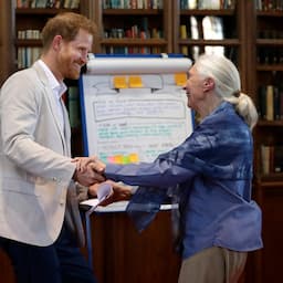 Prince Harry Shares Heartwarming Moment With Dr. Jane Goodall During Leadership Event -- Watch