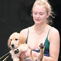 Sophie Turner Hangs Out With Precious New Puppy in Miami After Dog Waldo's Death