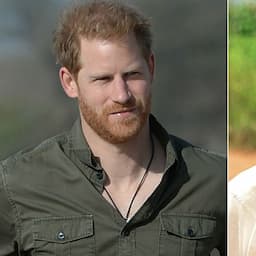 Prince Harry Shares How Princess Diana's Death Connected Him to Africa