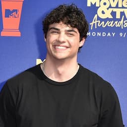 Noah Centineo Just Shaved Off All His Hair, Try to Remain Calm
