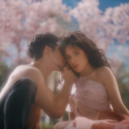 Shawn Mendes Reacts to Camila Cabello's Love Interest in 'Living Proof' Music Video: 'Who's This Guy?!' 