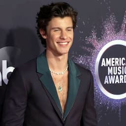 2019 AMAs: Shawn Mendes Rocks Puka Shells on the Red Carpet -- Watch!