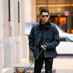 Nick Jonas and His New Dog Gino Are the Cutest Duo While Out in NYC 