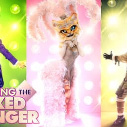 'The Masked Singer' Season 3: Everything We Know Before the Show Kicks Off!
