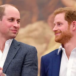 How Prince William and Prince Harry's Relationship Has Changed Since Stepping Back From Royal Life