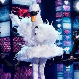 'The Masked Singer': The Swan Takes a Dive in Week 8 -- See Which Star Was Under the Mask!