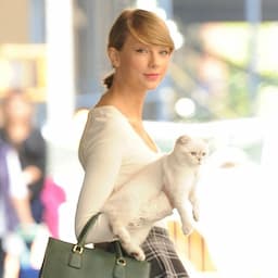 Taylor Swift’s Cat Olivia Benson Pretty Much Sums Up Everyone’s Quarantine Mood: Pic