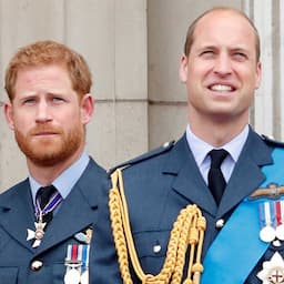 Prince Harry and Prince William Divide Princess Diana's Memorial Fund