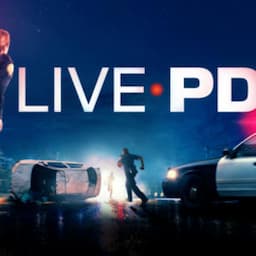 'Live P.D.' Canceled Amid Ongoing Protests Against Police Brutality