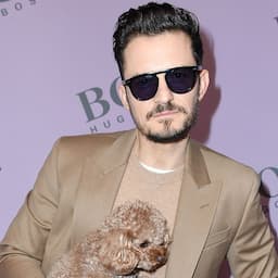 Orlando Bloom Opens Up About New Foster Dog Following Mighty's Death