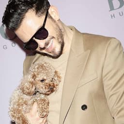 Orlando Bloom's Dog Mighty Dies After Going Missing