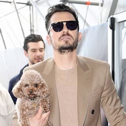 Orlando Bloom and Katy Perry's Dog Mighty Is Missing