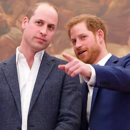 Prince Harry and Prince William to Debut Princess Diana Statue
