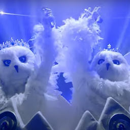 'Masked Singer' Season 4 to Feature First Celeb Pair: Meet Snow Owls