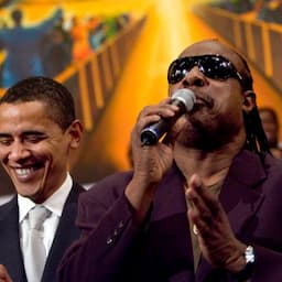 Stevie Wonder and More Stars Honor Martin Luther King Jr. 