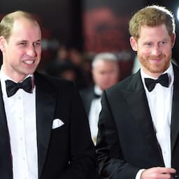 How Prince Harry and Prince William Reconnected Over the Holidays