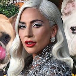 Lady Gaga Speaks Out on Dog Kidnapping, Says Ryan Fischer Is 'a Hero'