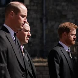 Prince Harry Publicly Reunites With Prince Charles and Prince William 
