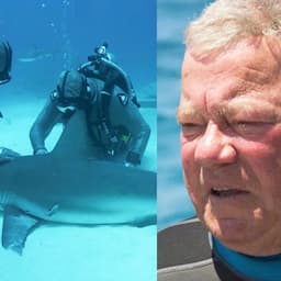 See 90-Year-Old William Shatner Gets Up Close and Personal With Sharks (Exclusive)