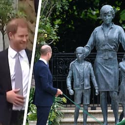 Princess Diana's Statue: What to Know About the Children With Her