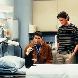 'Friends' Monkey Trainer Hits Back at David Schwimmer