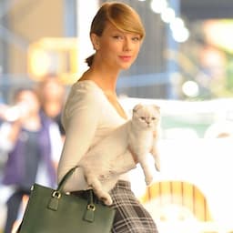 Taylor Swift Proves She's Officially a 'Cat Lady' in New TikTok Video