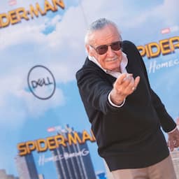 Stan Lee on His 'Spider-Man's Inspiration Moment (Flashback)