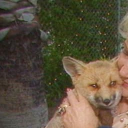 Remembering Betty White's Legacy as an Animal Advocate