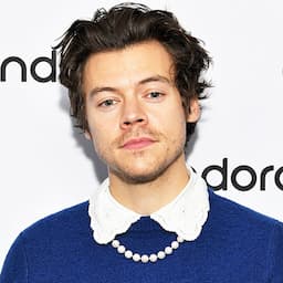 Harry Styles Pledges $1M to Gun Safety Group in Wake of Texas Shooting
