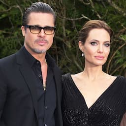 Brad Pitt and Angelina Jolie's Jet Case: The FBI Report Revelations