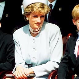 How Princess Diana Would've Felt About Her Sons' Rift (Exclusive)