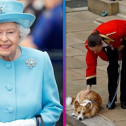 Queen Elizabeth II Was Comforted By Corgis 'In Her Final Hours'