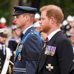Prince Harry Walks Alongside Prince William at Queen's Funeral