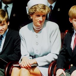 Princess Diana Would Be 'Infuriated' by William and Harry's Rift 