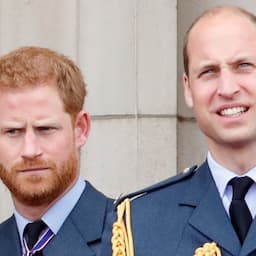 Prince Harry Recalls Having Prince William 'Scream and Shout' at Him