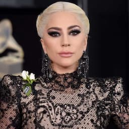Lady Gaga Sued Over $500,000 Reward by Woman Charged in Dog Theft