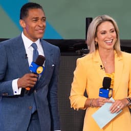 T.J. Holmes and Amy Robach Are Being Reviewed by ABC
