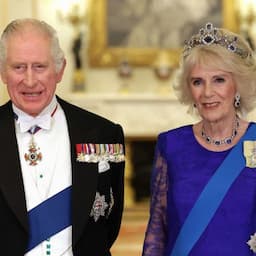 King Charles and Camilla Pose for New Portrait Ahead of Coronation